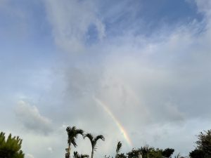 台風明けの虹